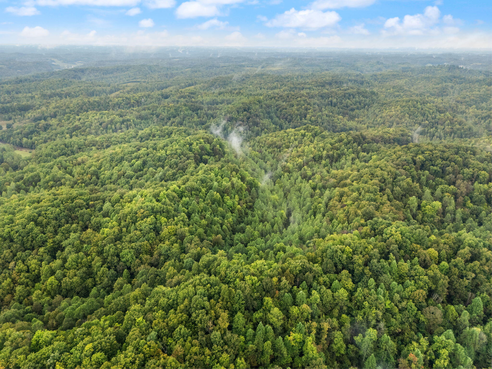 Booneville, Kentucky 41314, United States, ,Land,Active,210963