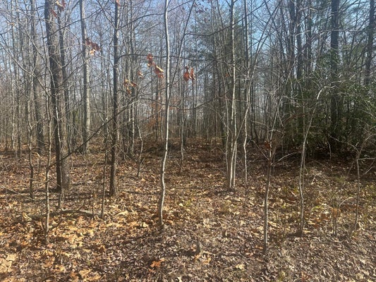 155 STRUNK HWY, STRUNK, KY 42649 - Image 1a11ac6c3104f7af3c8669d3a7acfa8a/2070290913
