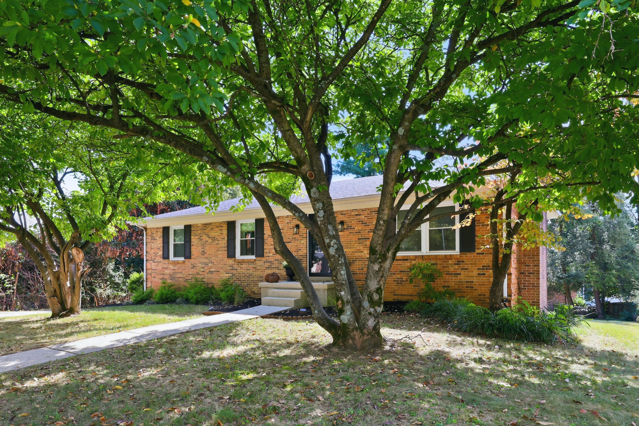 348 Whitfield Drive