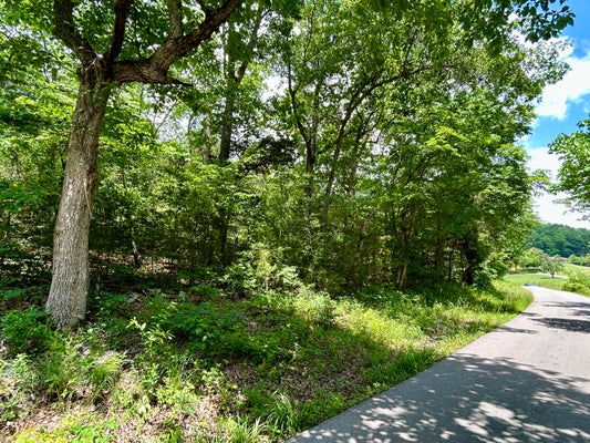 1055 CLAY HILL RD, SOMERSET, KY 42501 - Image 1c2e17d2a7c8fd433f142ea952bbc1ed/2642204185