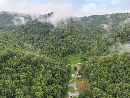 HALL BRANCH RD, TOPMOST, KY 41862 - Image 2129dffc8c656d9f4975987e665a2f42/2620376006