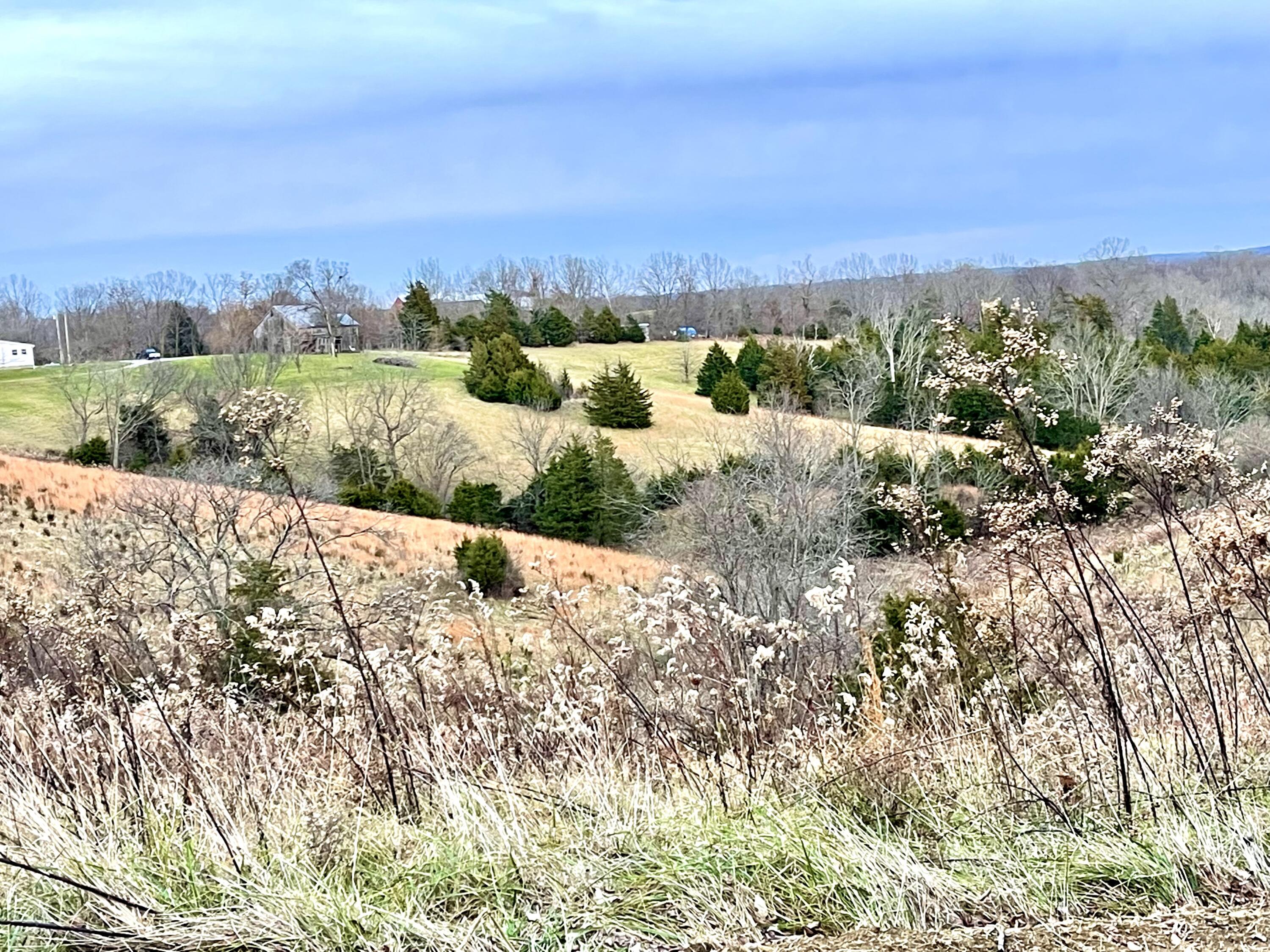 1-A KY HWY 36 W, Berry, KY 41003 - MLS#: 22025693