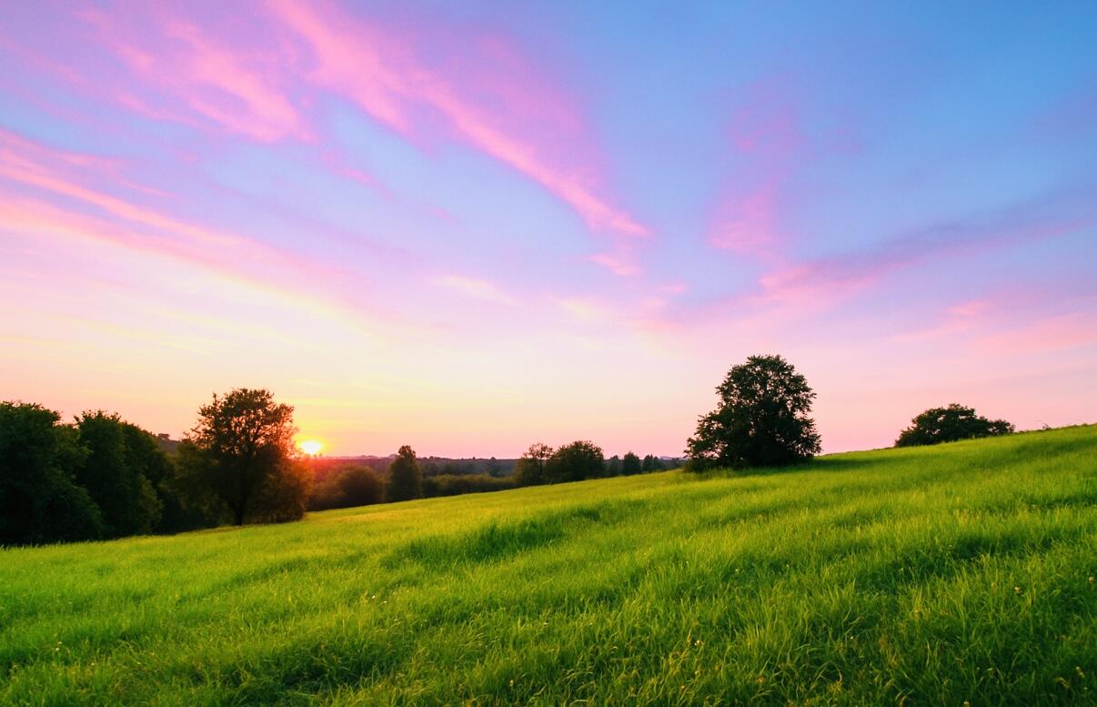 1005 Bypass North Highway