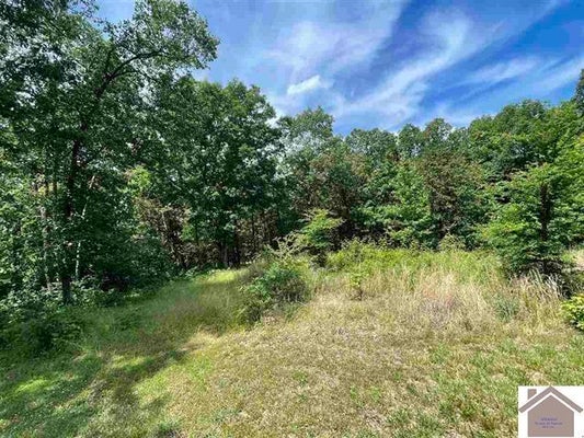 76 DOCK DR, MURRAY, KY 42071 - Image 2e24e6d4142a1908e1f12a559b9ca7ca/532035573