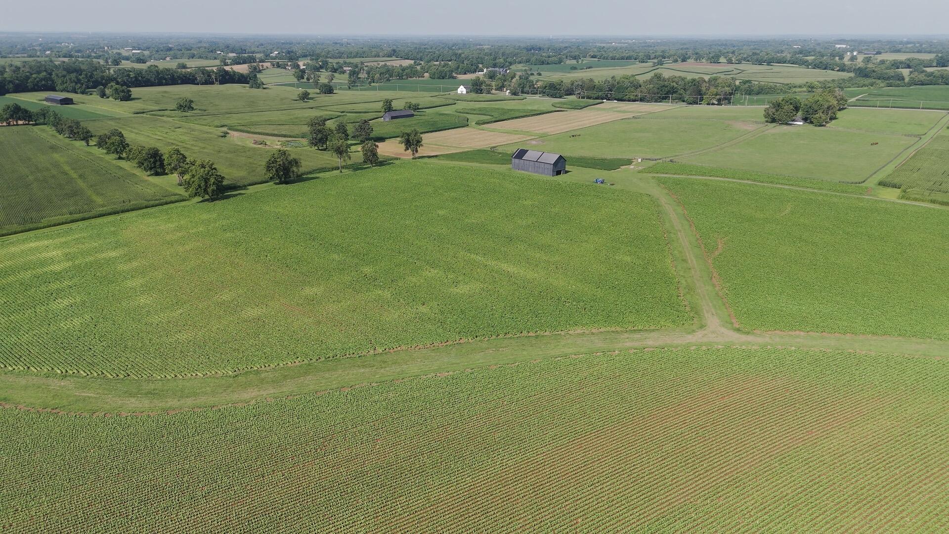 1700 Shannon Run Road