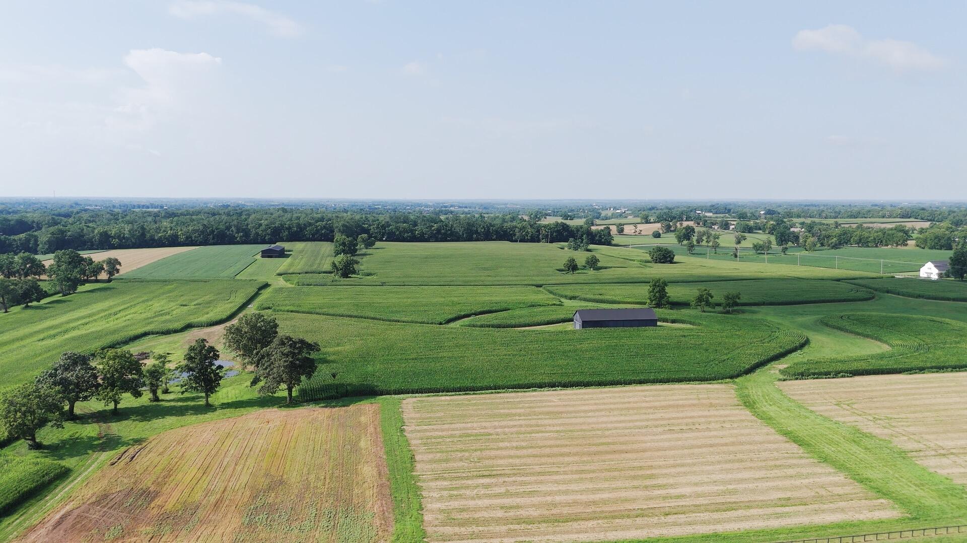 1700 Shannon Run Road