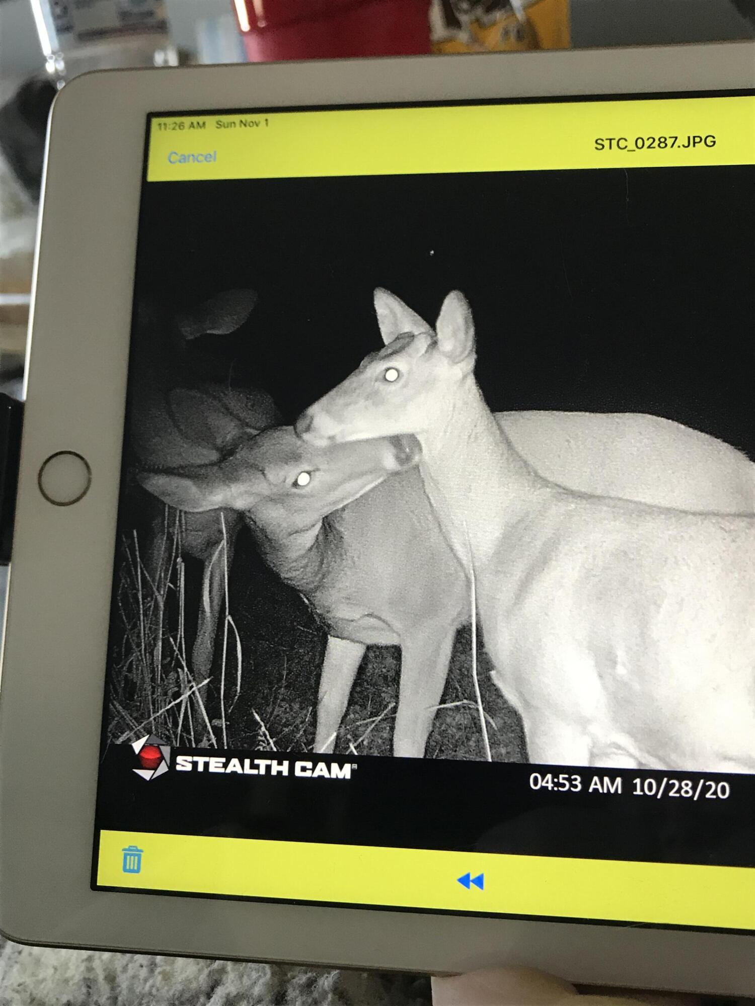 Richmond, Kentucky 40475, United States, ,Residential,Active,12299