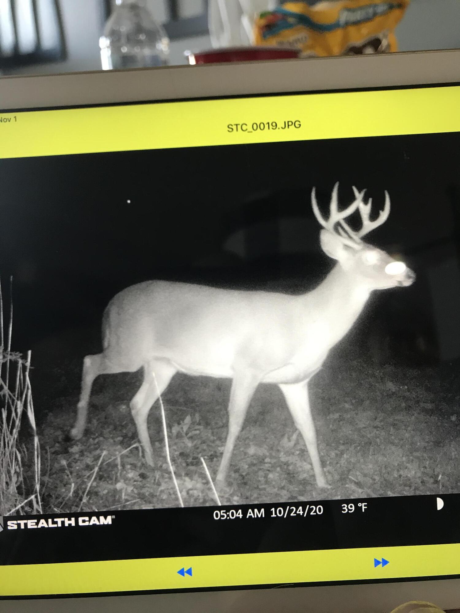 Richmond, Kentucky 40475, United States, ,Residential,Active,12299