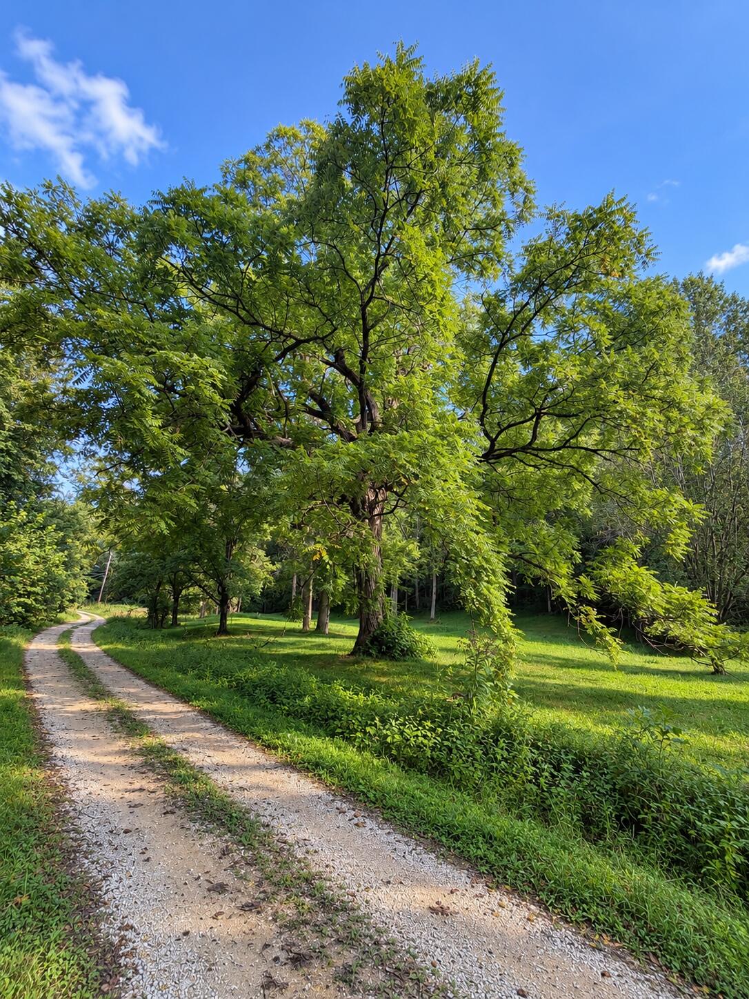 9999 Lone Oak Road