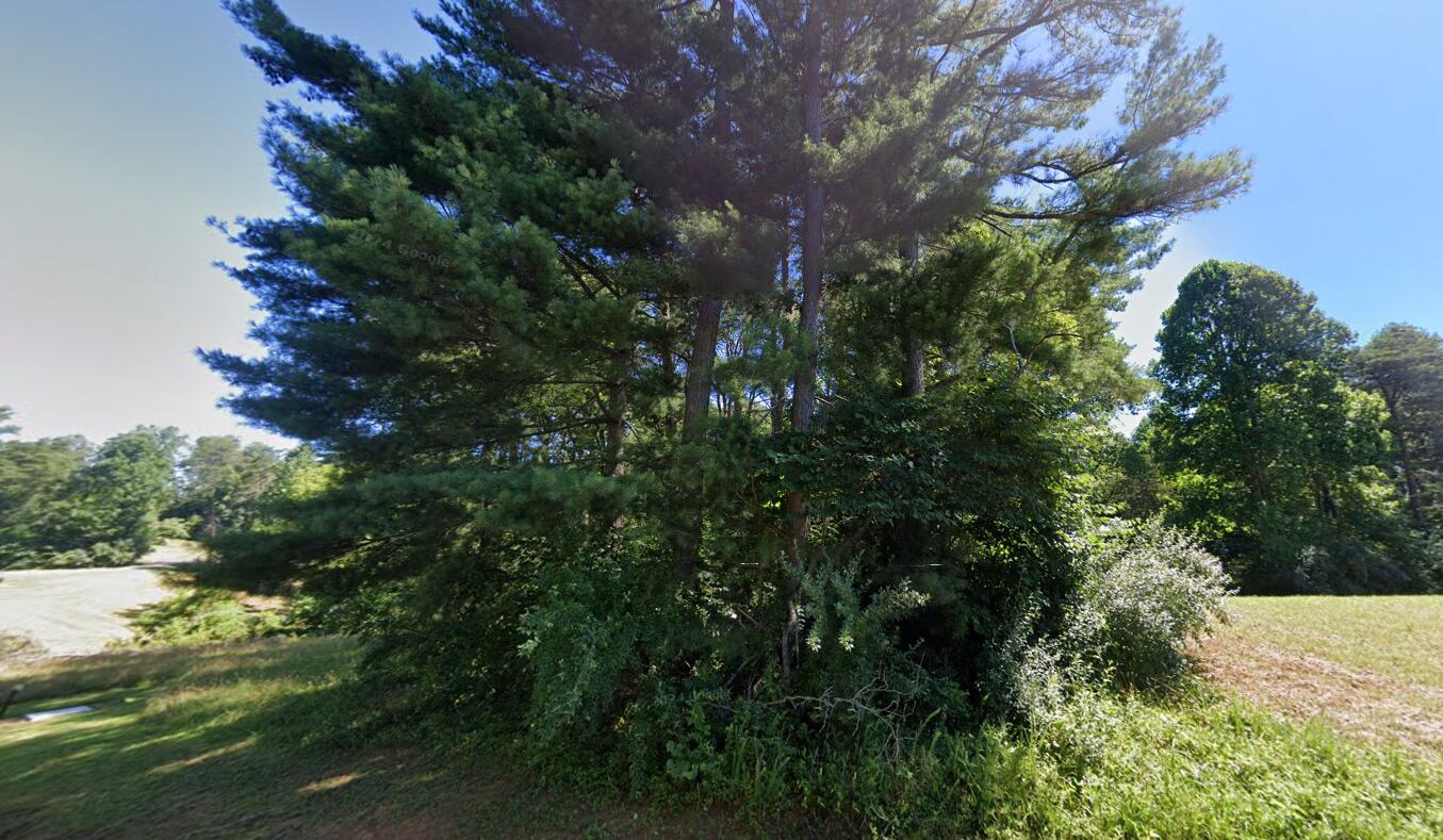 Lot 96 Captain's Point Subdivision