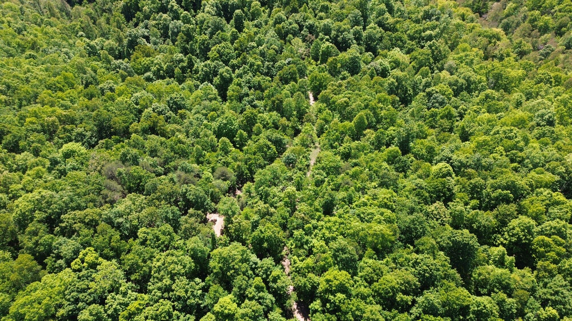 322A Clay Camp Road