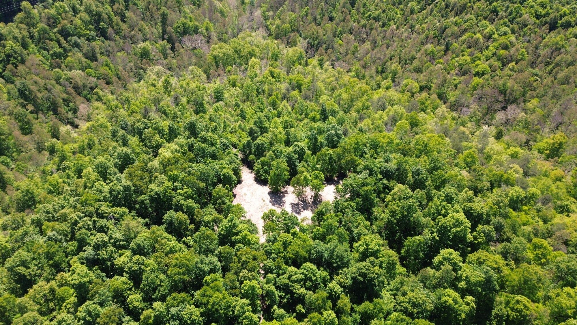 322A Clay Camp Road