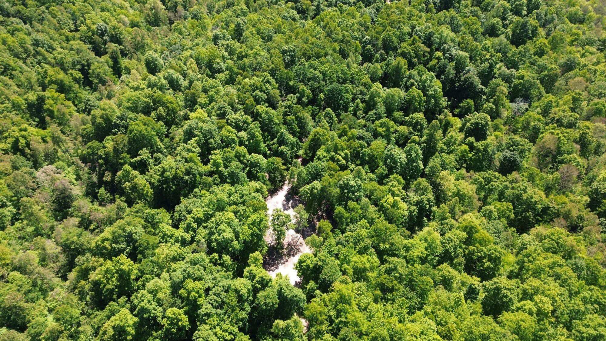 322A Clay Camp Road