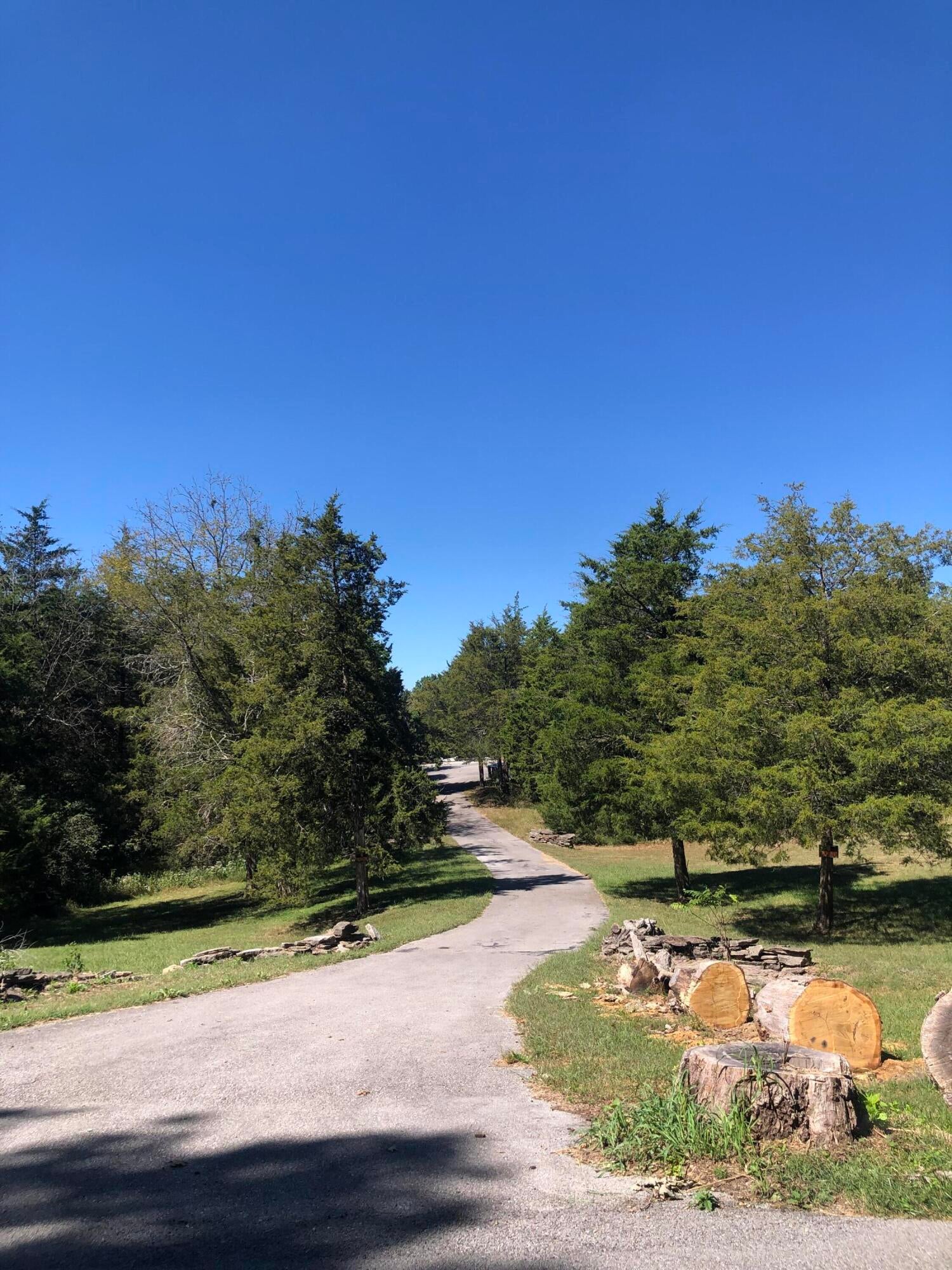 1321 Wildcat Road - Photo 4