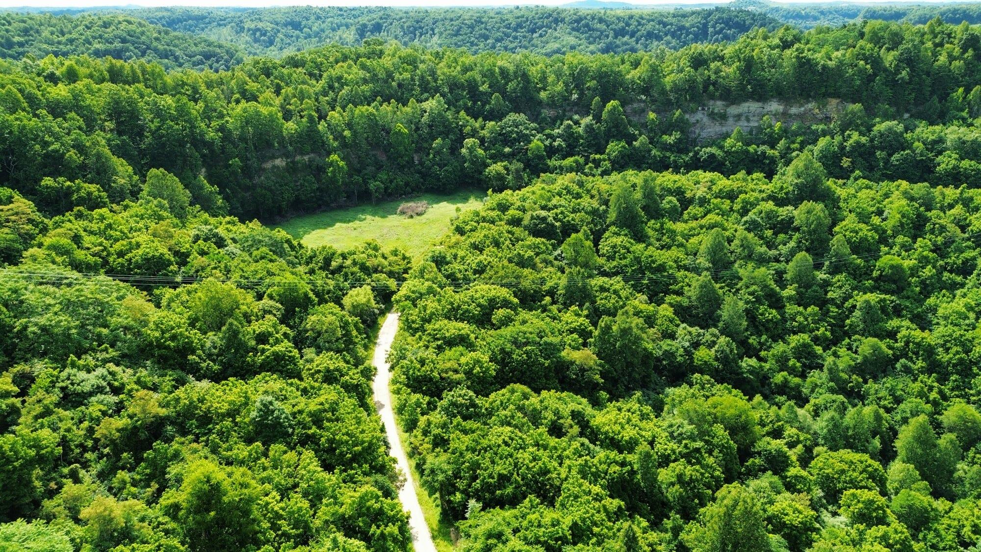 3800A Butcher Hollow Rd