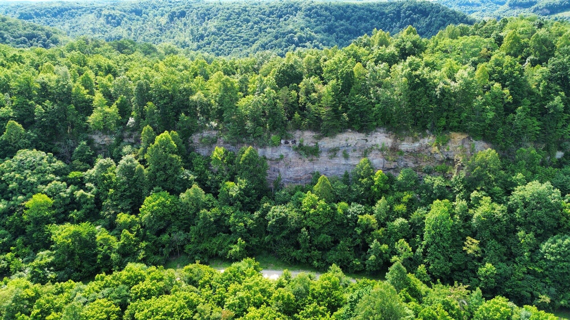 3800A Butcher Hollow Rd