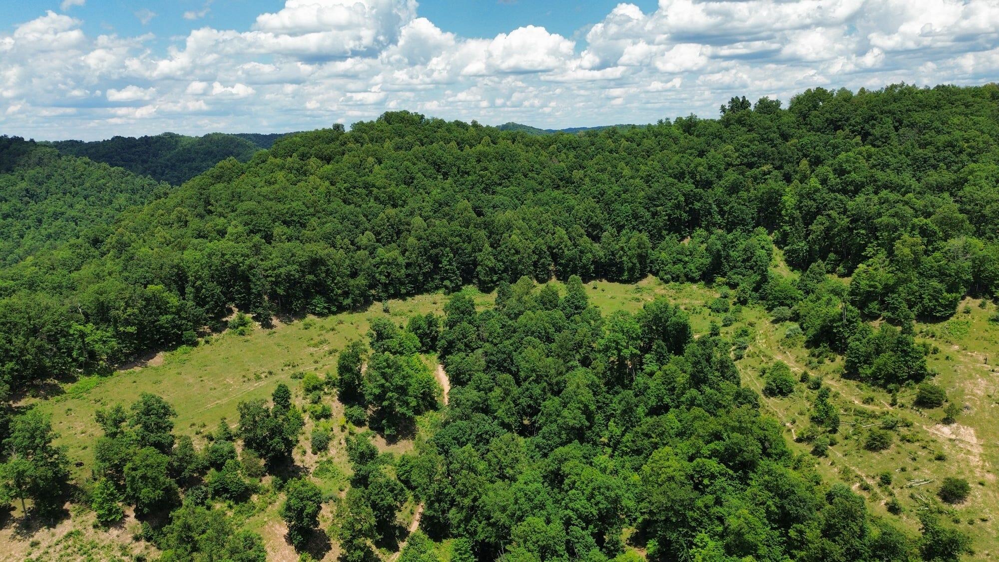 3800A Butcher Hollow Rd