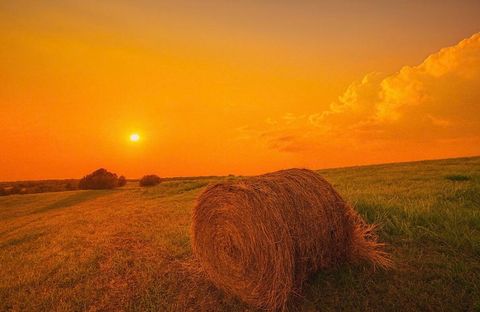 1007 Bypass North Highway Lawrenceburg KY 40342