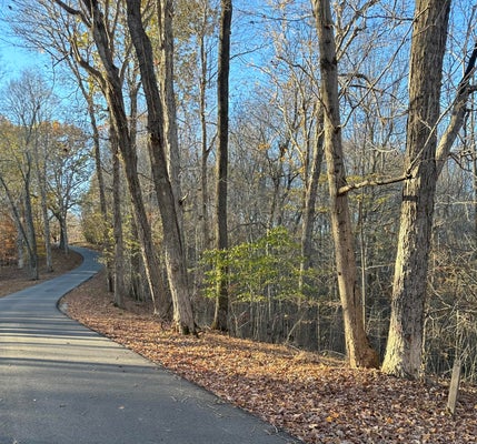 LISANBY RD, EDDYVILLE, KY 42038 - Image 399032f79b2a24618f9d3602b5e0efb0/2497004845