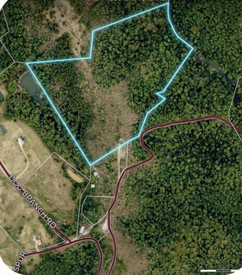 DOG BRANCH RD, LONDON, KY 40741 - Image 3beed654a7f376fdc8e5d0bb76eeb6b7/4174235904