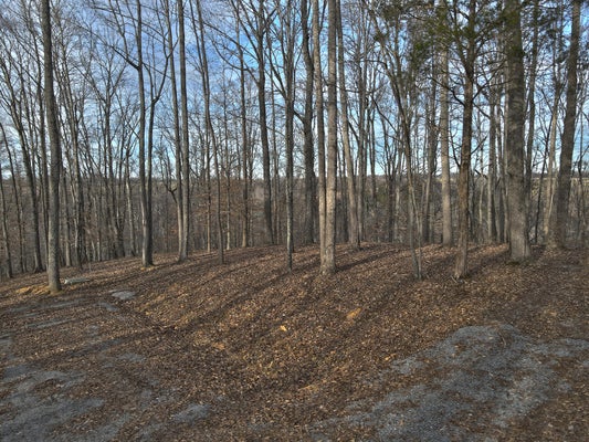 25 PIPER LN, COLUMBIA, KY 42728 - Image 3e40409727b254ad42dcadb02a741bc7/1592454287