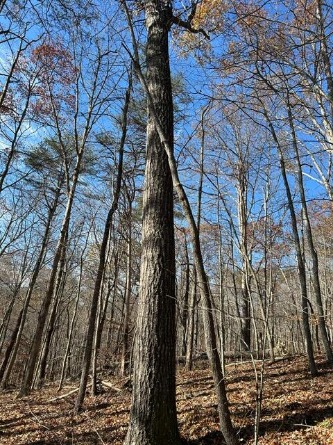 275 Horns River Road Road