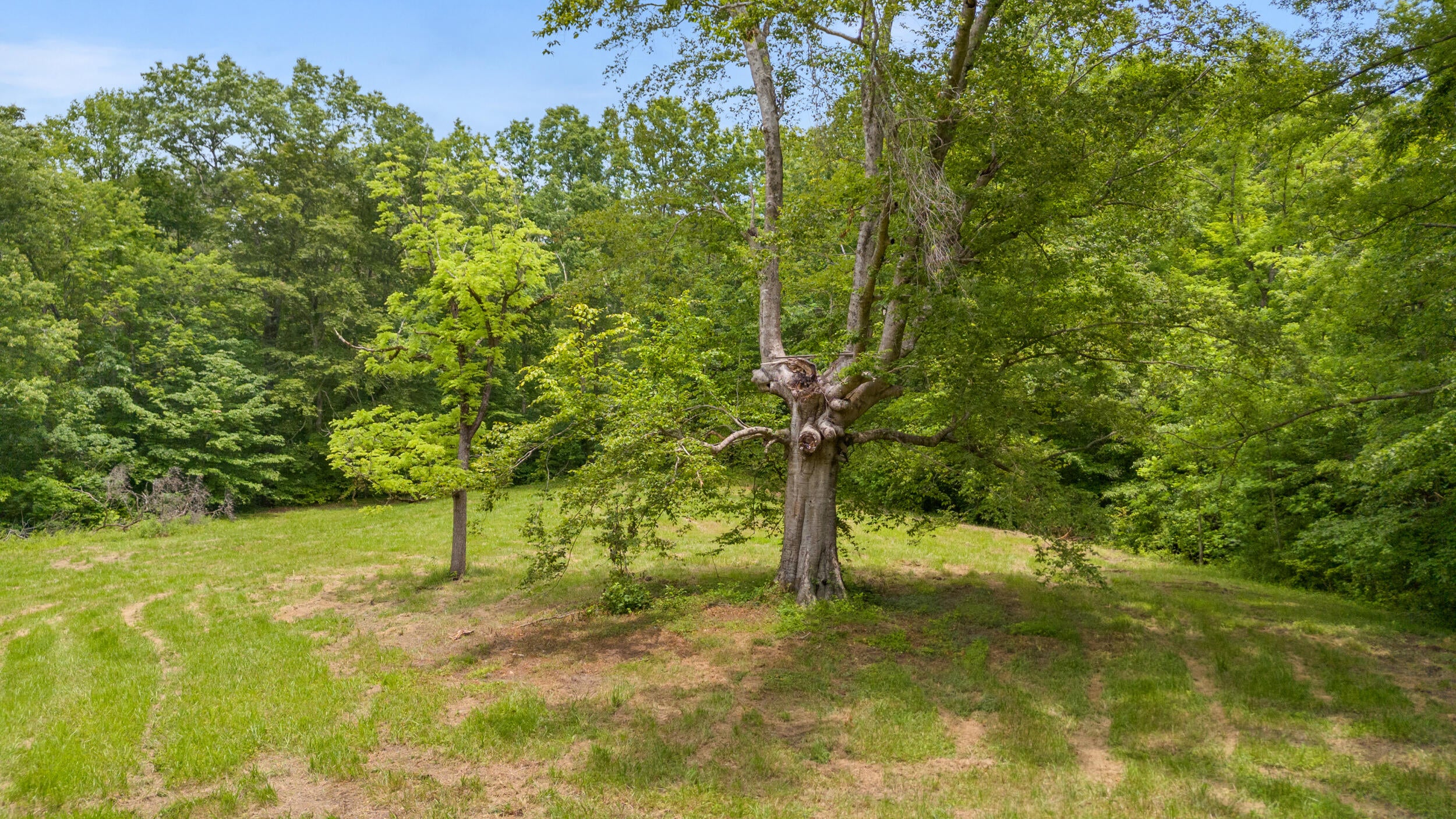 275 Horns River Road Road