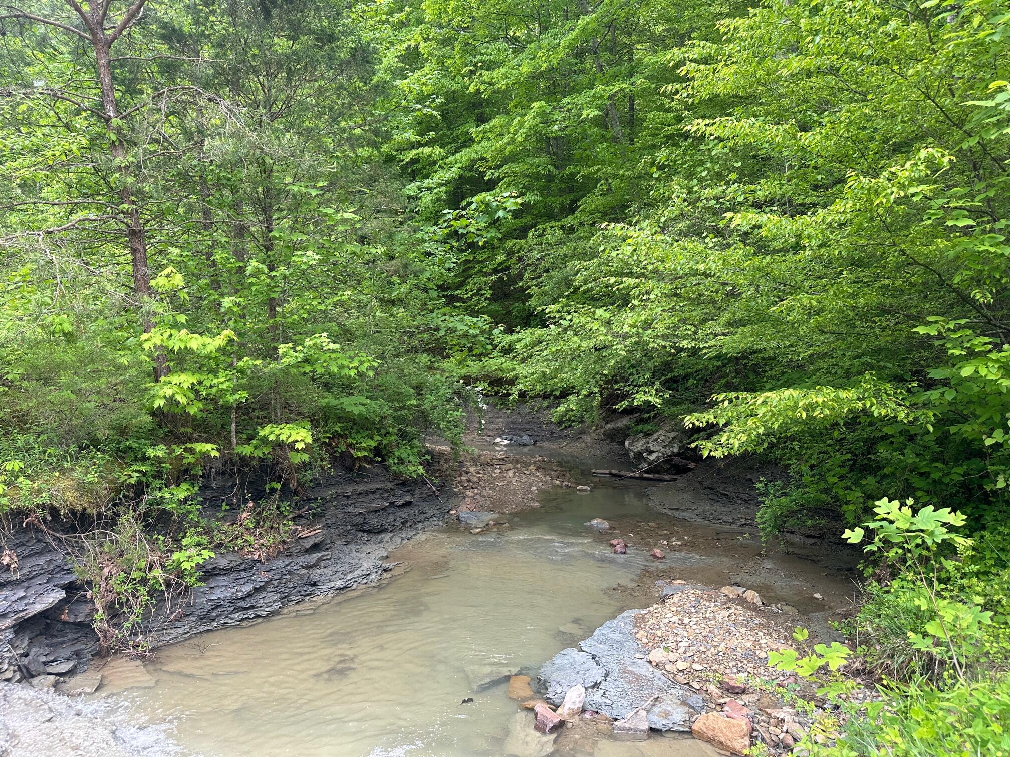 275 Horns River Road Road