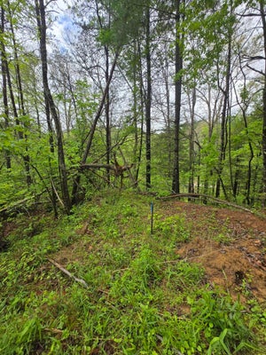 68 SOL LN, JACKSON, KY 41339 - Image 406a99a6fa8104b4b3225eaf42e9c347/4080373629