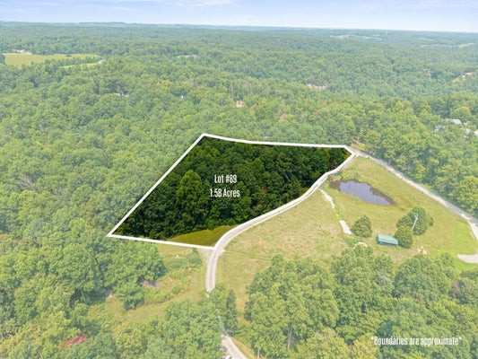 95 OAK HILL DR, FRENCHBURG, KY 40322 - Image 40dceb3bcd2bf353ca204601a492019c/4032028566