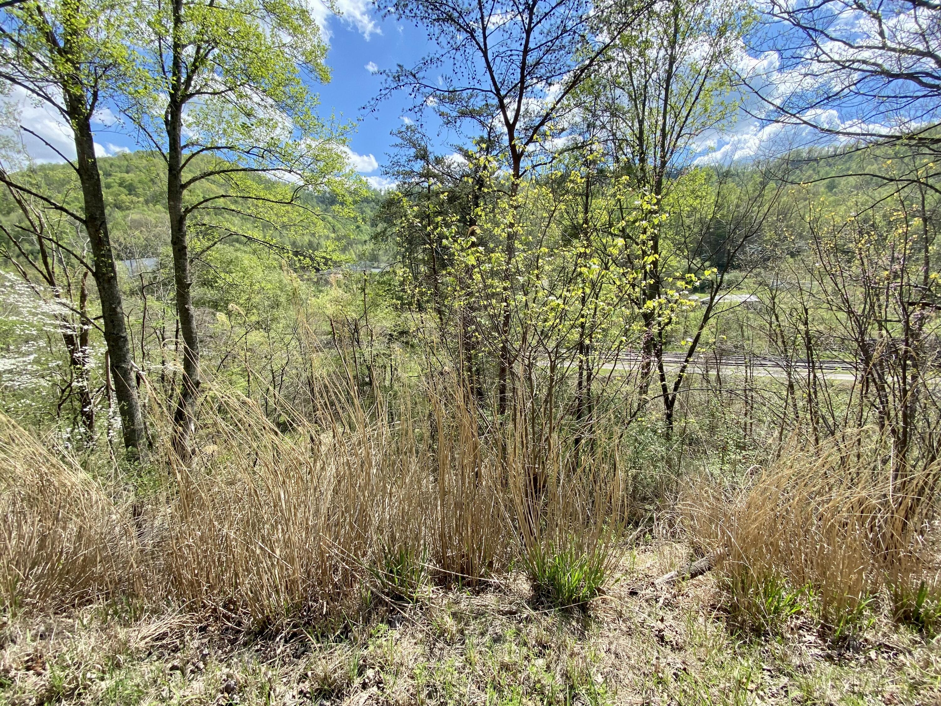 220 Old Commissary Road