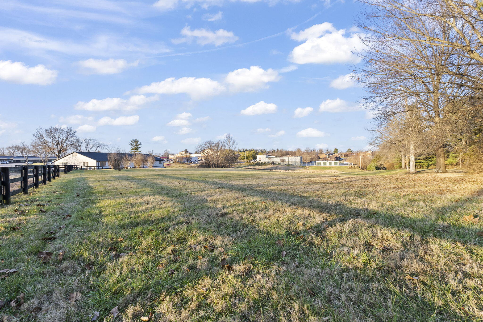 1-web-or-mls-DSC07965