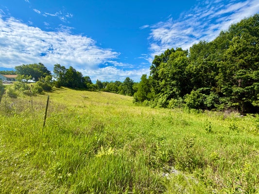 6715 GEORGETOWN RD, OWENTON, KY 40359 - Image 471c9724e03007bcd0b7db5980cd4ea7/1884755475