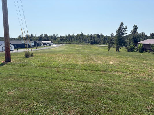 116 CAMBRIDGE SHORES DR, GILBERTSVILLE, KY 42044 - Image 497d46fcc4e4b770d65ab633711b94e6/3469908982