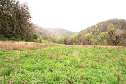 Steele Hollow Road, Rockholds, KY 40759 - #: 24007232