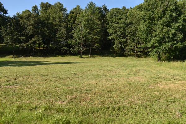 1040 KENTUCKY HIGHWAY 801ST RD S, MOREHEAD, KY 40351 - Image 5226612b29cb5cf73bcc9ccab330cab6/1585323244