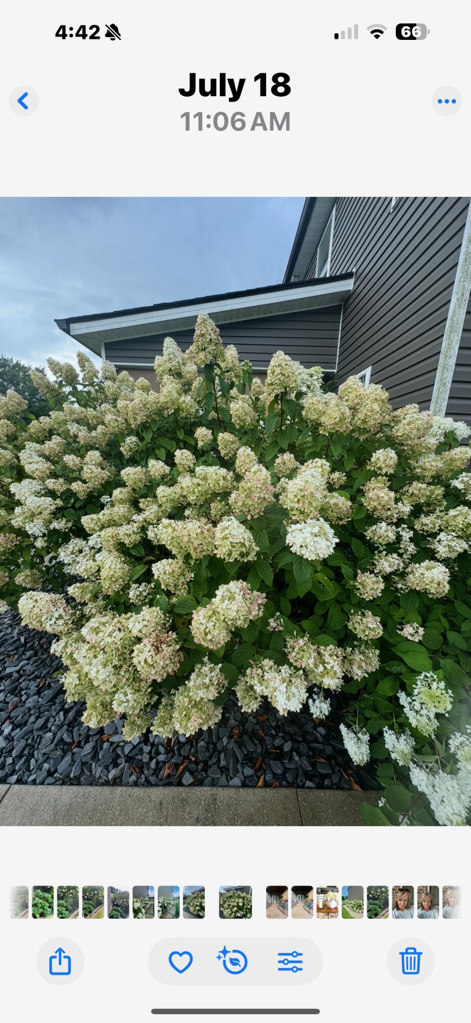 Berea, Kentucky 40403, United States, 4 Bedrooms Bedrooms, ,3 BathroomsBathrooms,Residential,Active,231394