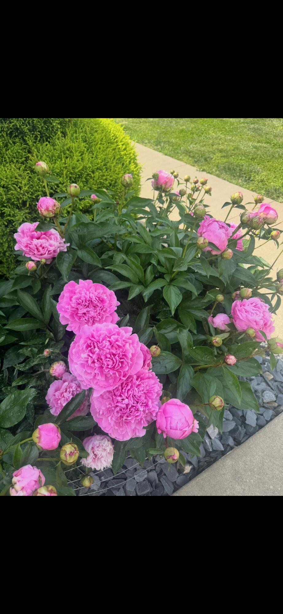 Berea, Kentucky 40403, United States, 4 Bedrooms Bedrooms, ,3 BathroomsBathrooms,Residential,Active,231394