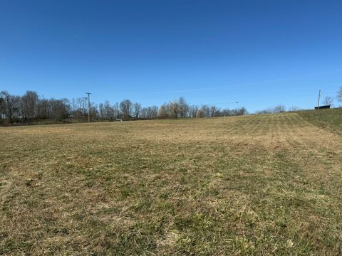 740 Locust Fork Road, Stamping Ground, KY 40379 - #: 24002687