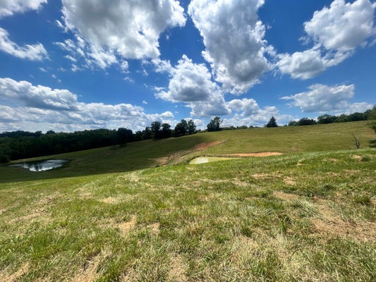 RUEL GLIDWELL RD, BURKESVILLE, KY 42717 - Image 5a8c0bee6862c5ce4ecc91fd0b90f55a/3835975458