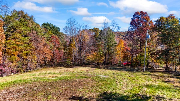 3495 E FORK RD, MEANS, KY 40346 - Image 5bcd8fadffcd83e7a8308eaad25a82d3/1905988556