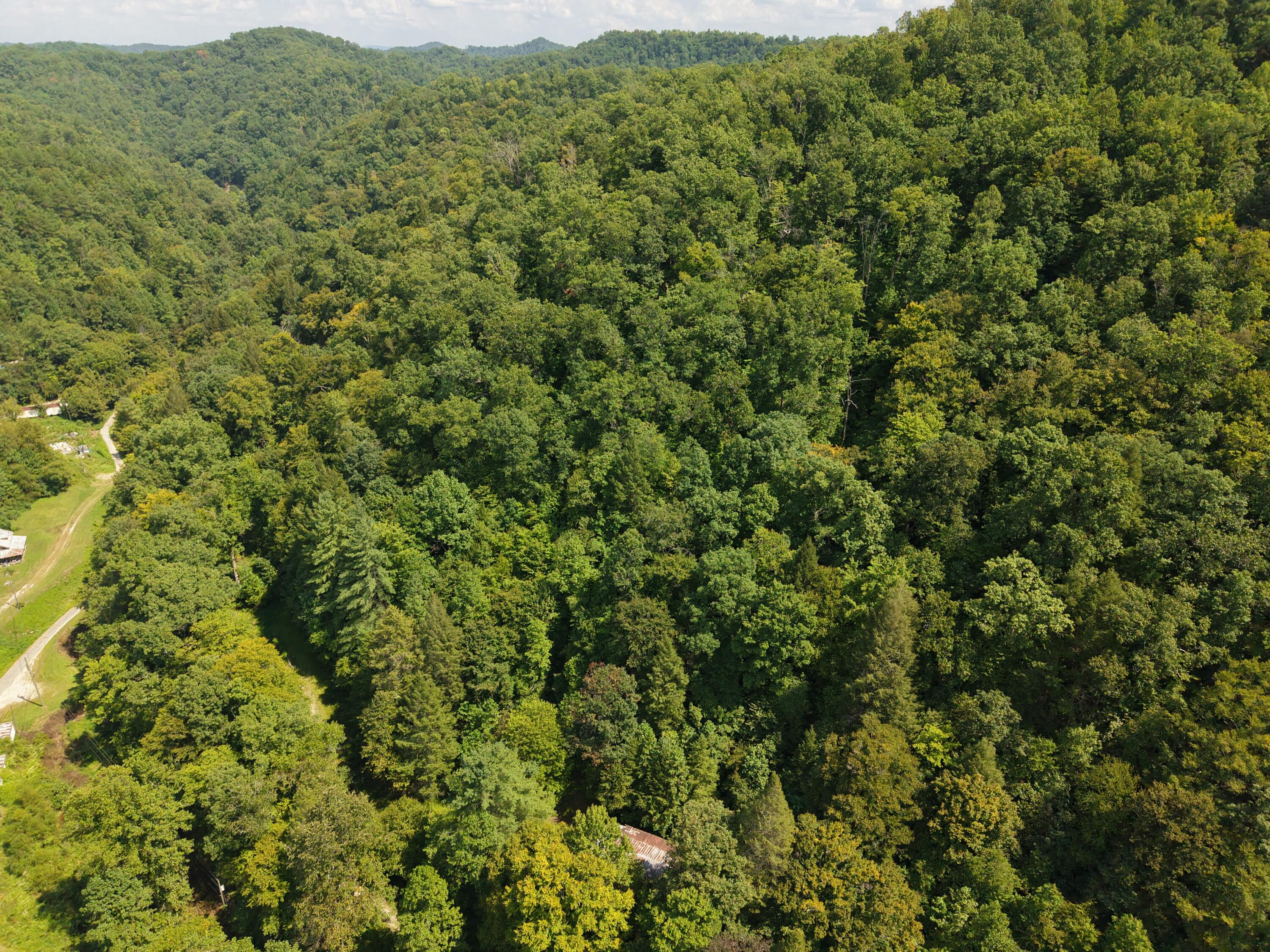 1081 Wooten Fork Road