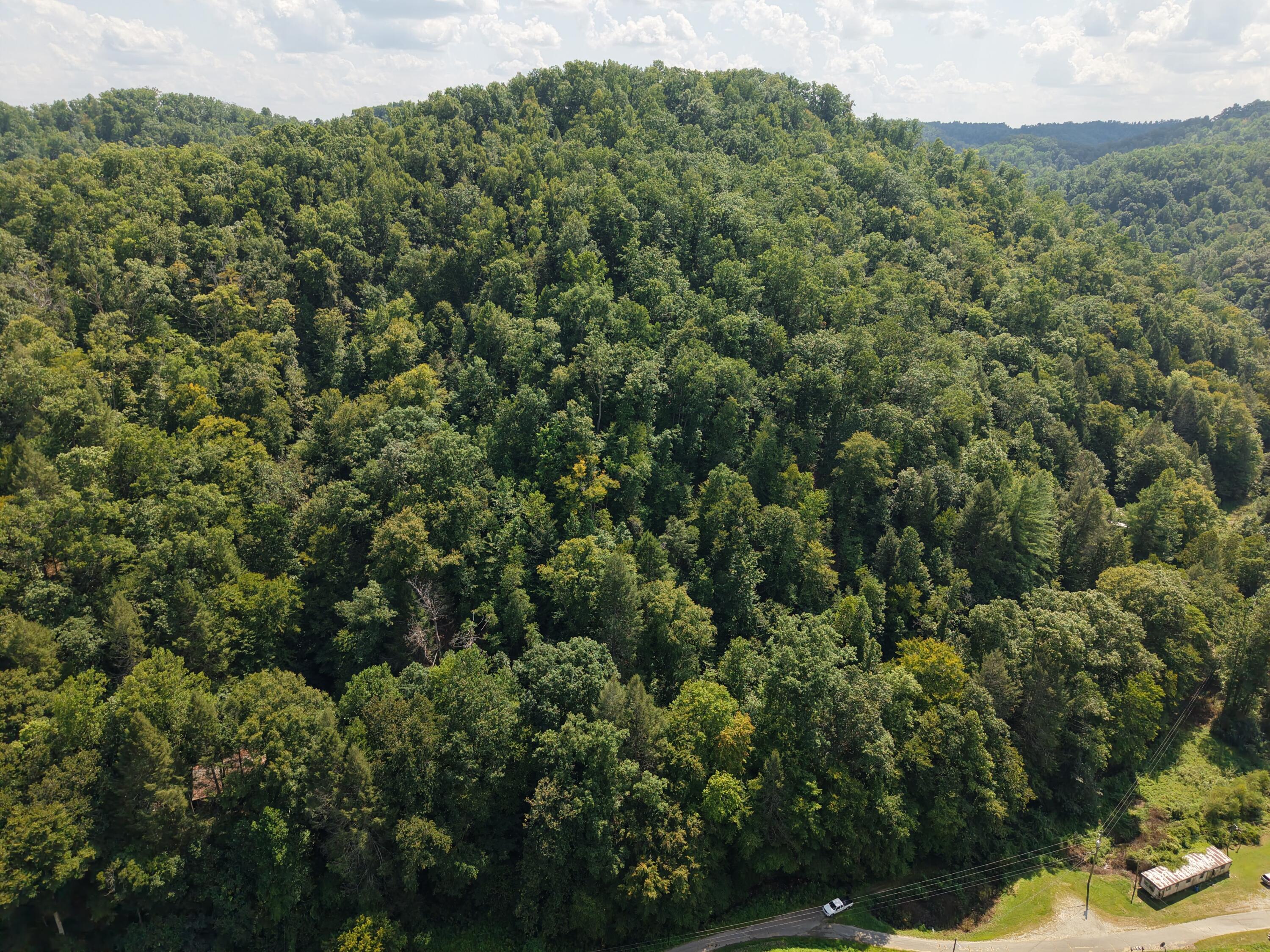1081 Wooten Fork Road