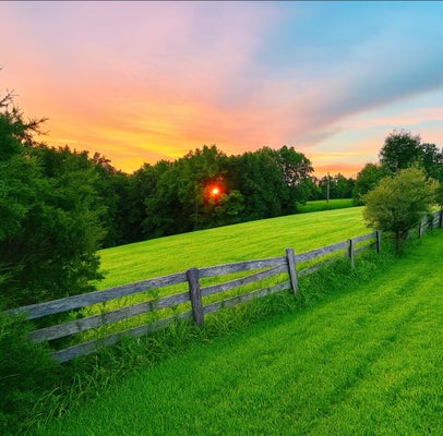 1232 PLEASANT GROVE RIDGE RD, MOUNT EDEN, KY 40046 - Image 5ed2f07cd8d93075aa4624febcc59f02/3812742251