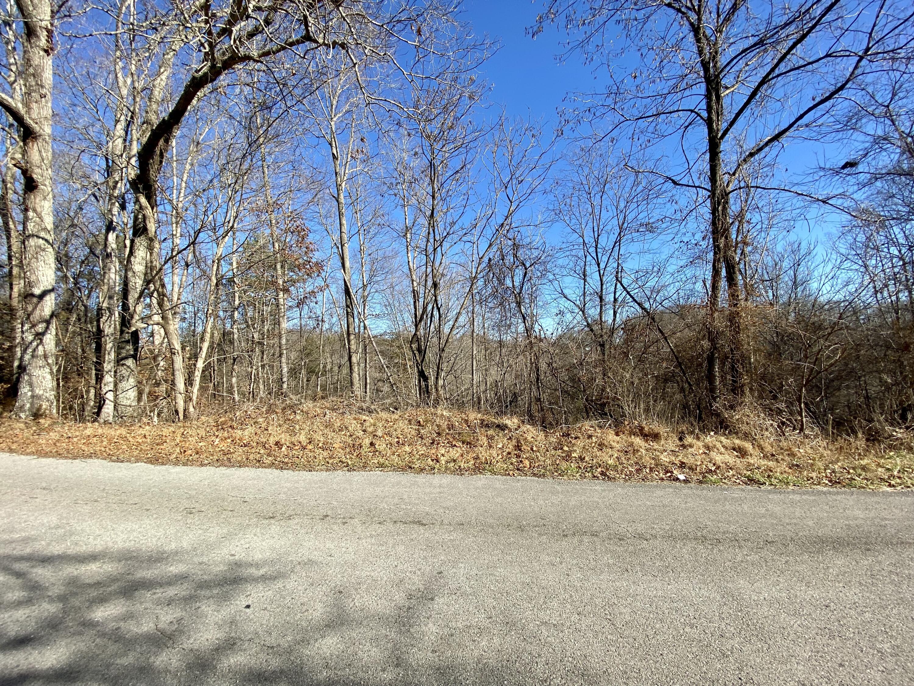 0 Bridge Hollow Road