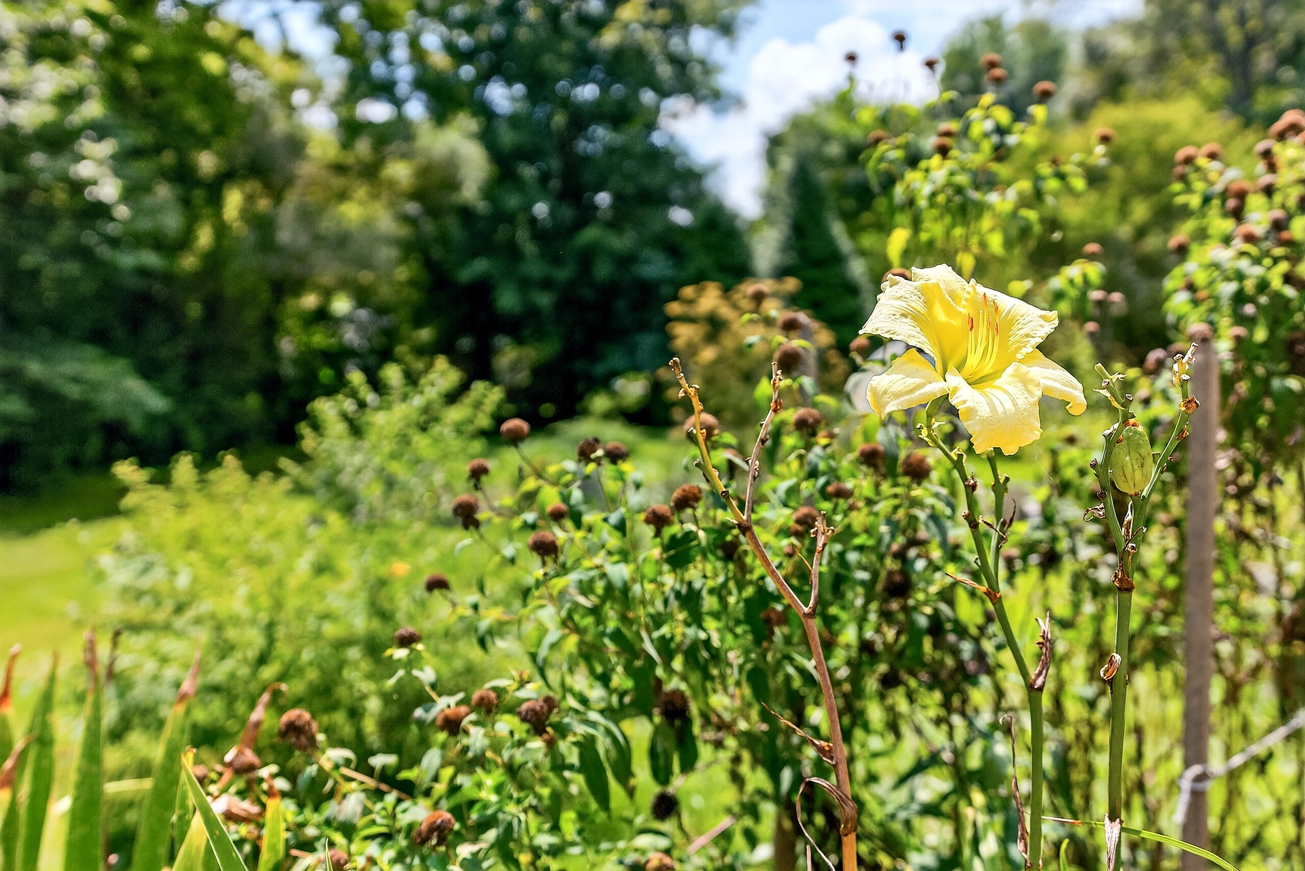 Berea, Kentucky 40403, United States, 4 Bedrooms Bedrooms, ,4 BathroomsBathrooms,Residential,Active,195762
