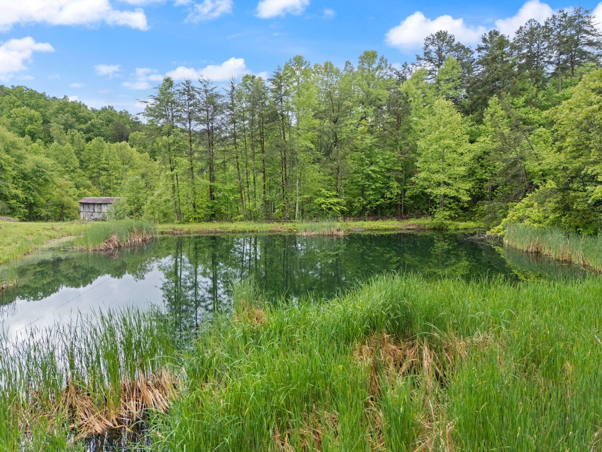 Booneville, Kentucky 41314, United States, 2 Bedrooms Bedrooms, ,1 BathroomBathrooms,Residential,Active,131207