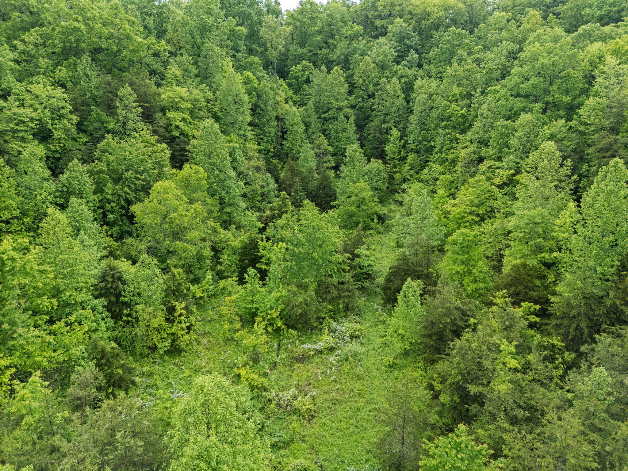 Booneville, Kentucky 41314, United States, 2 Bedrooms Bedrooms, ,1 BathroomBathrooms,Residential,Active,131207