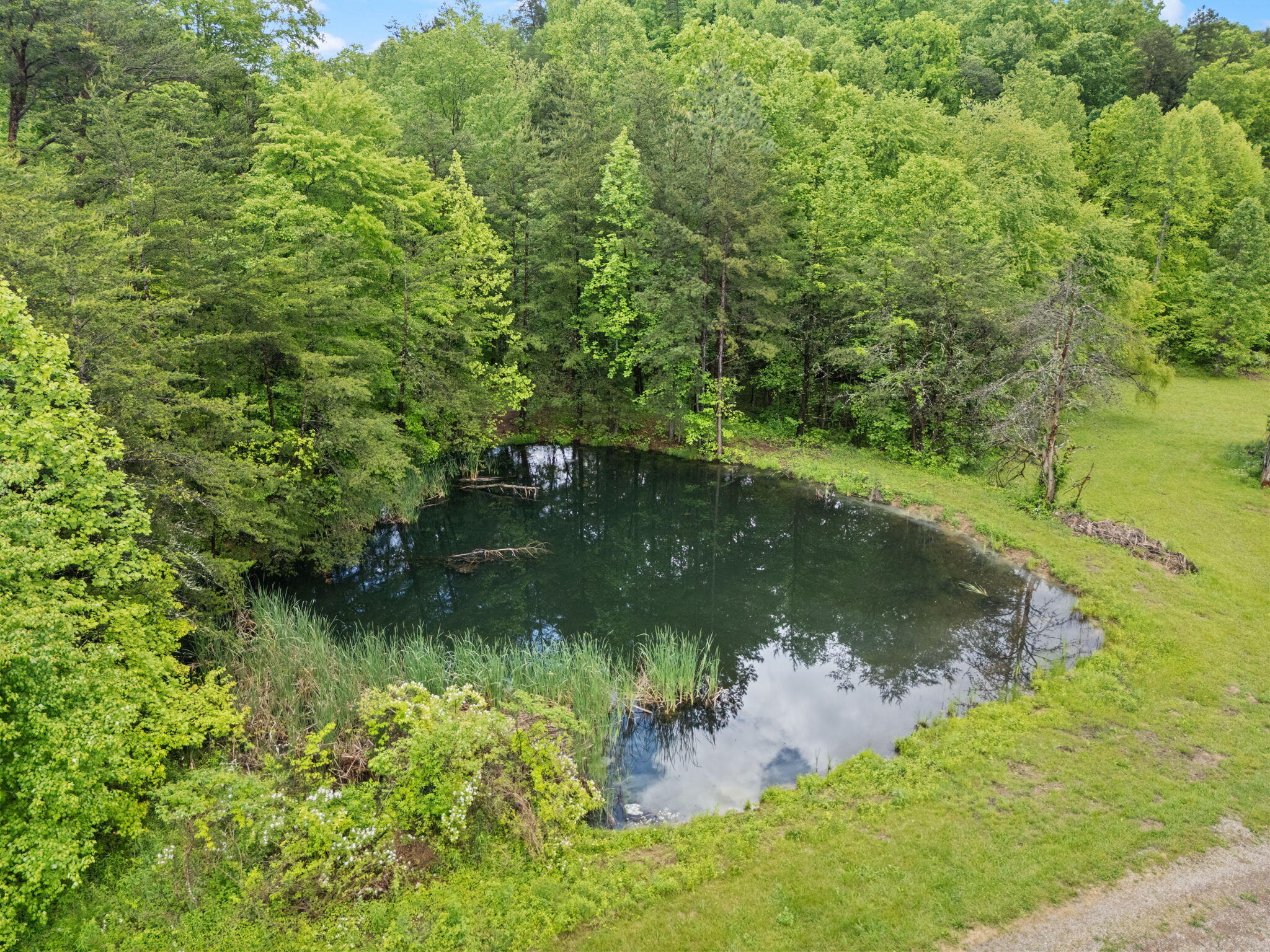 Booneville, Kentucky 41314, United States, 2 Bedrooms Bedrooms, ,1 BathroomBathrooms,Residential,Active,131207