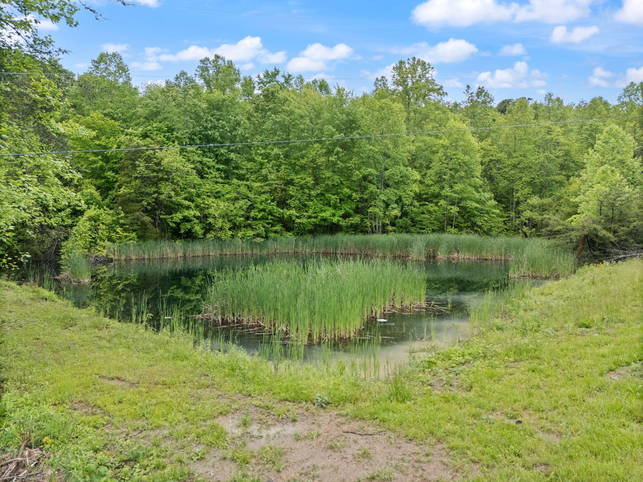 Booneville, Kentucky 41314, United States, 2 Bedrooms Bedrooms, ,1 BathroomBathrooms,Residential,Active,131207